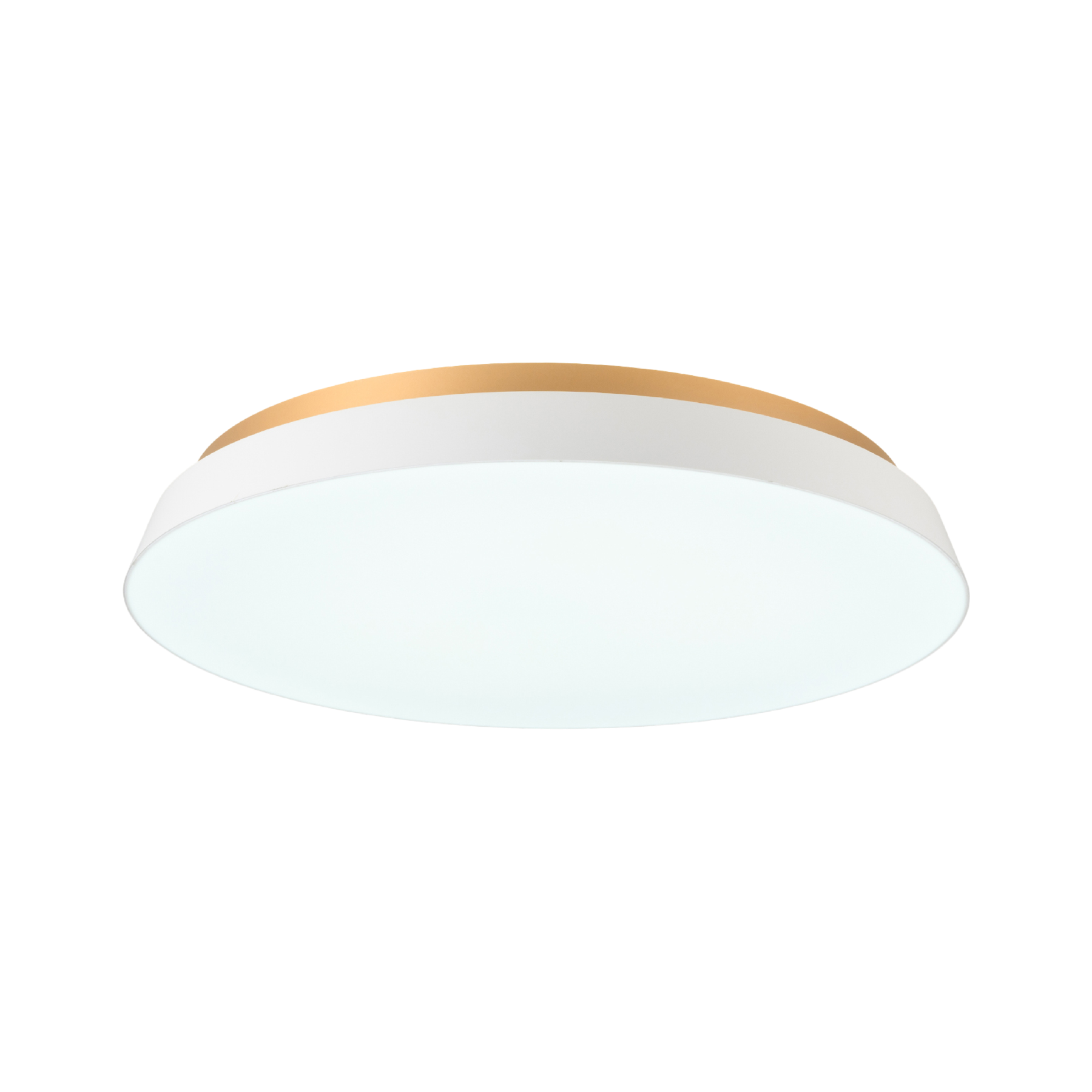 シーリングライト  TAIRA